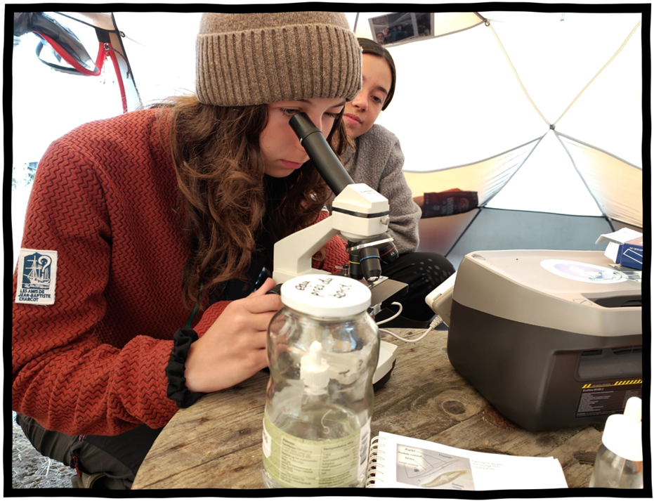 enfant regarde dans un microscope