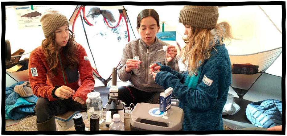 enfants font une lame de microscope